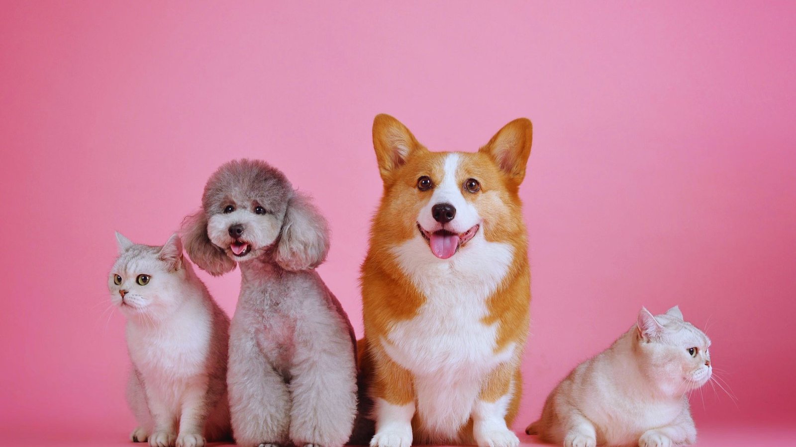 Mythology & Folklore Names