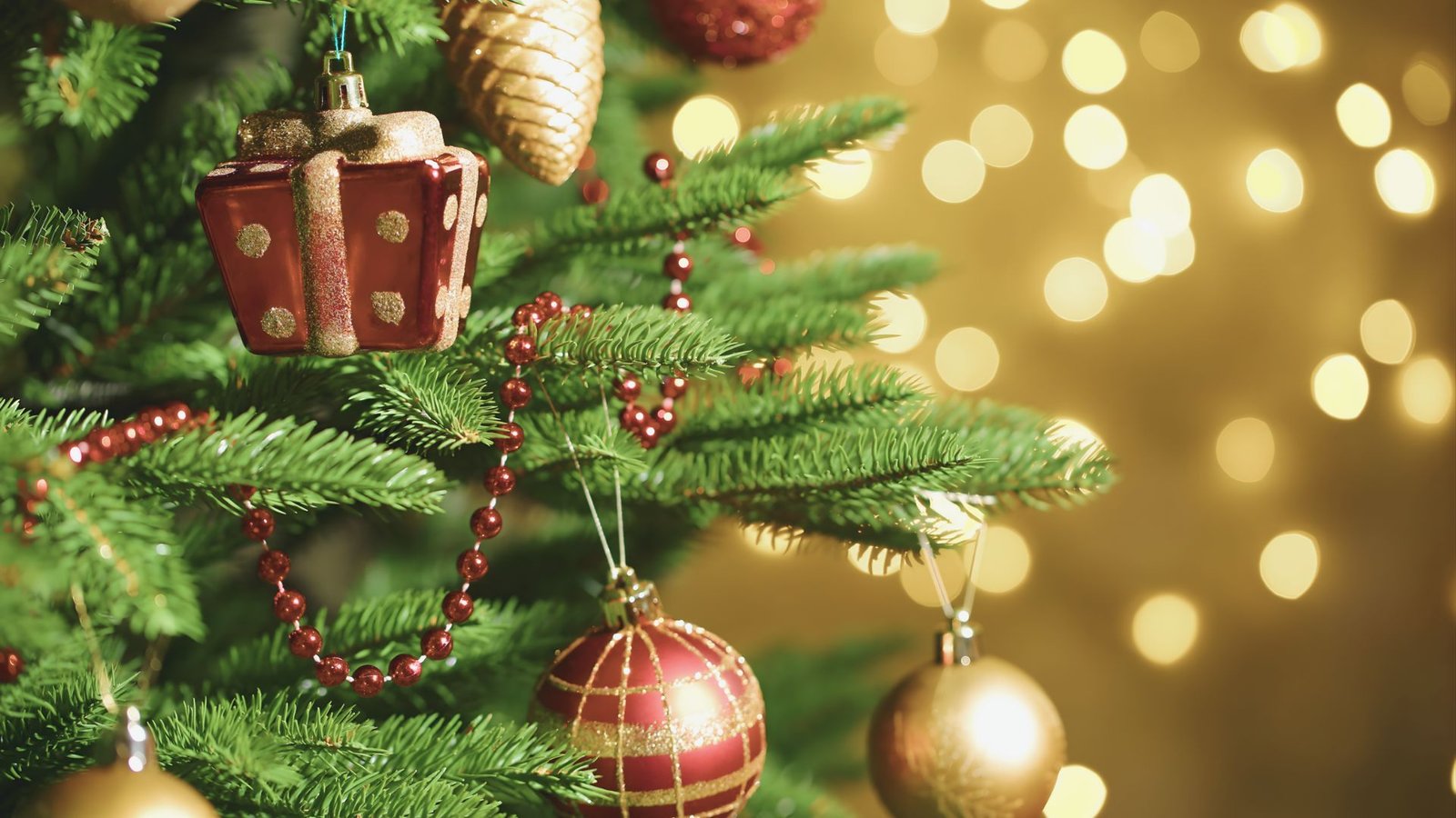 Why Christmas Fun Facts Are Exciting for Kids