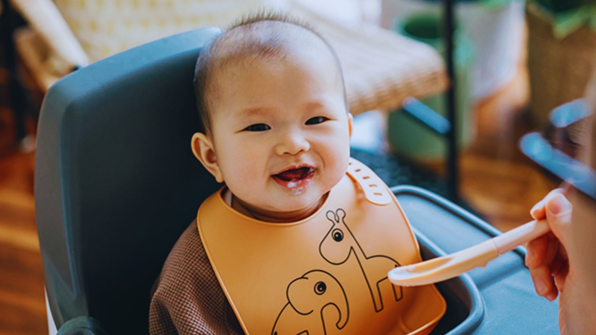 Feeding Bibs