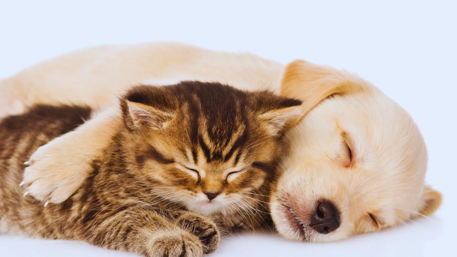 Literary and Pop Culture Male Names
