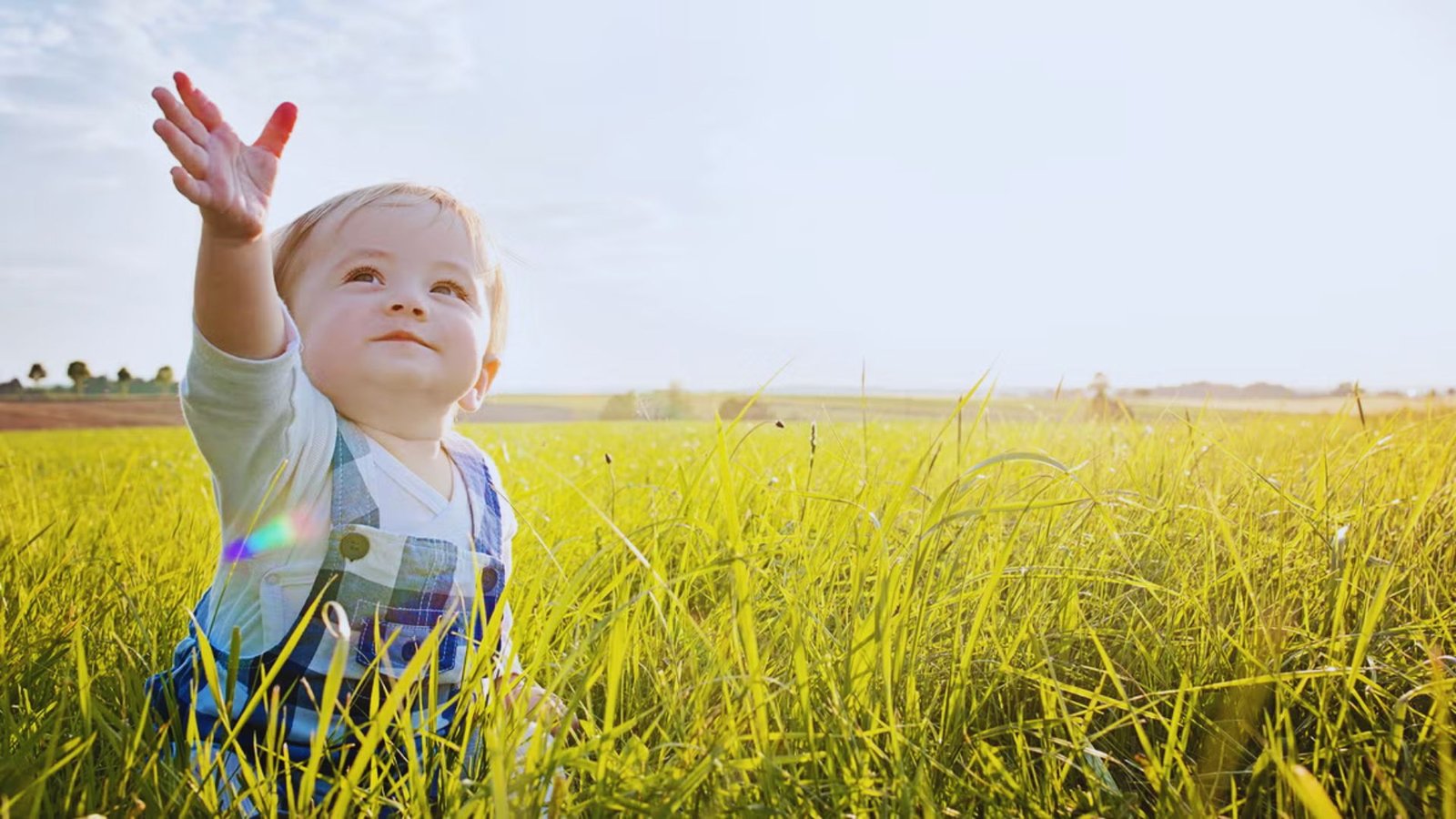 Western Nature and Landscape Names
