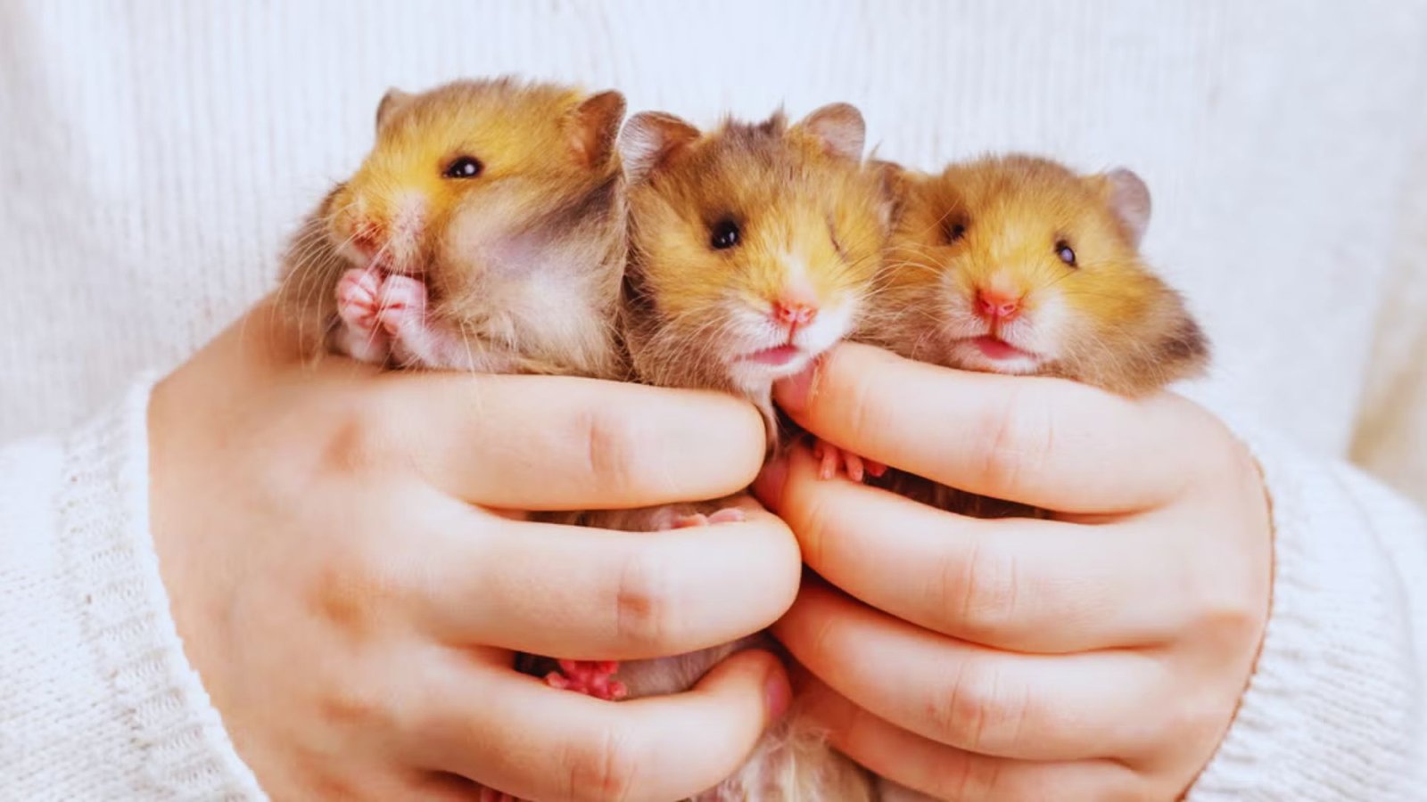 Modern & Unusual Names