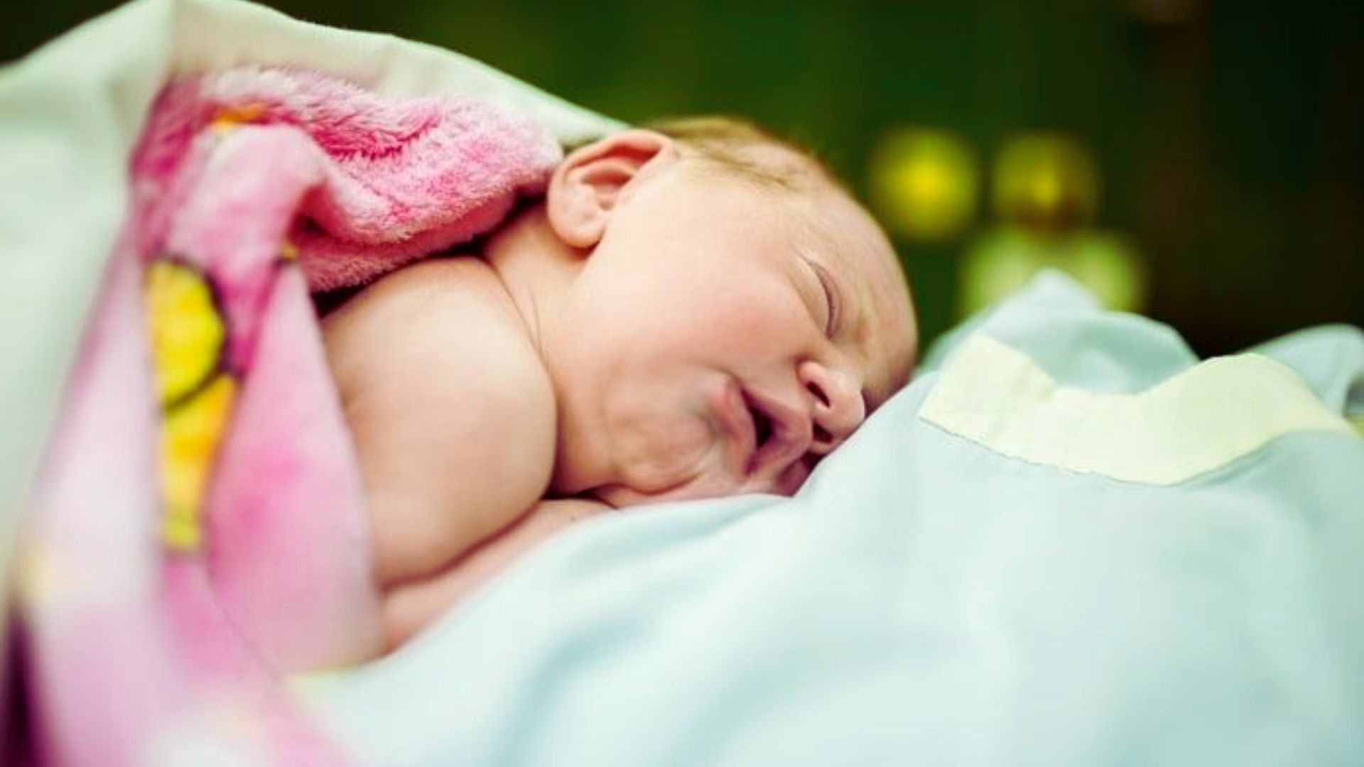 Understanding Newborn Immune System Development