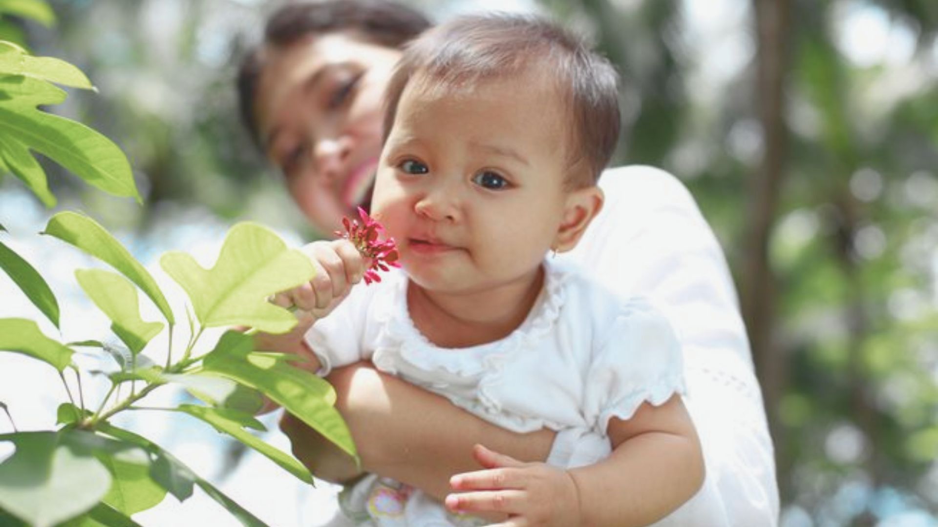 An infant in a white outfit is held by a caregiver outdoors, reaching to touch a small red flower and trying to smell it.