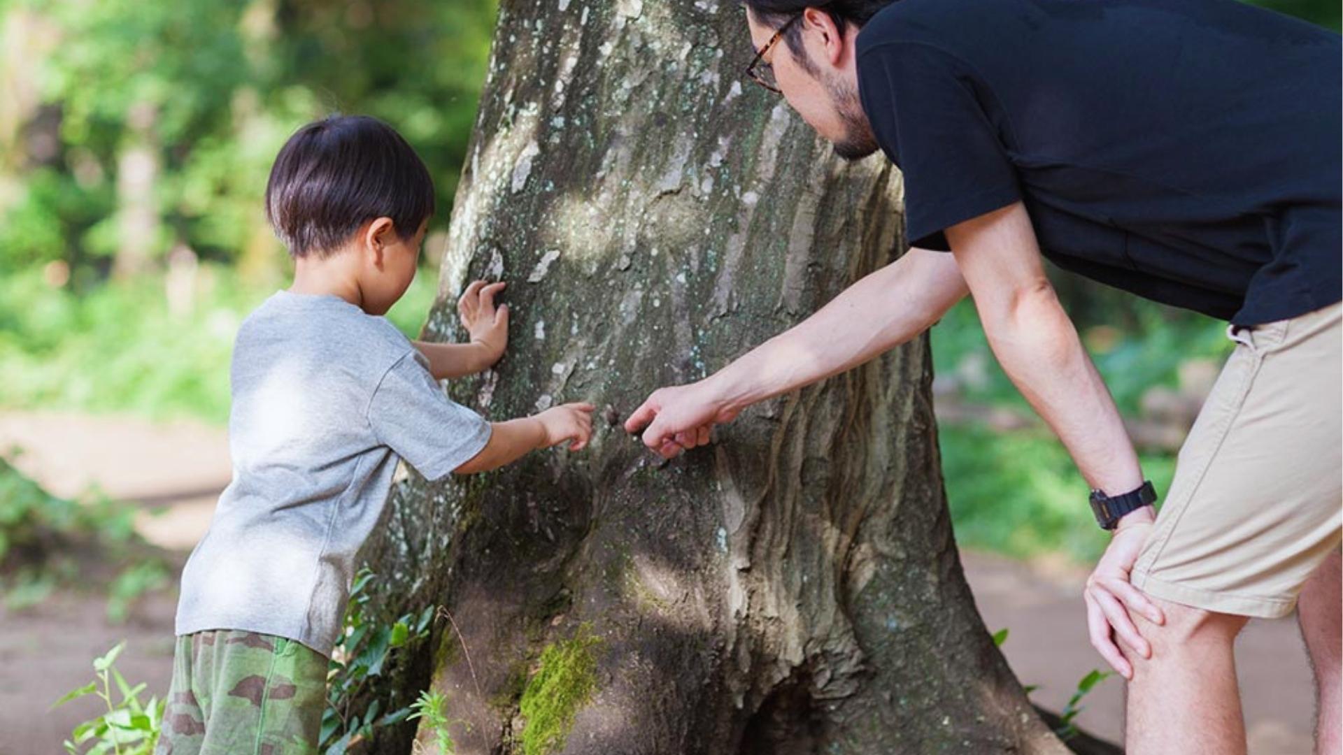 Man and child find tree bark outdoors, pointing and touching, sensory nature walk, Activities for Autistic Kids.
