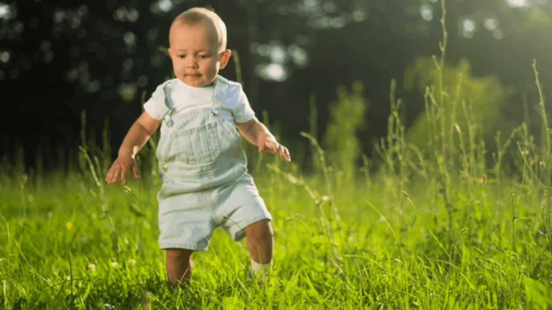 A toddler in light denim overalls takes unsteady steps through sunlit grass.
