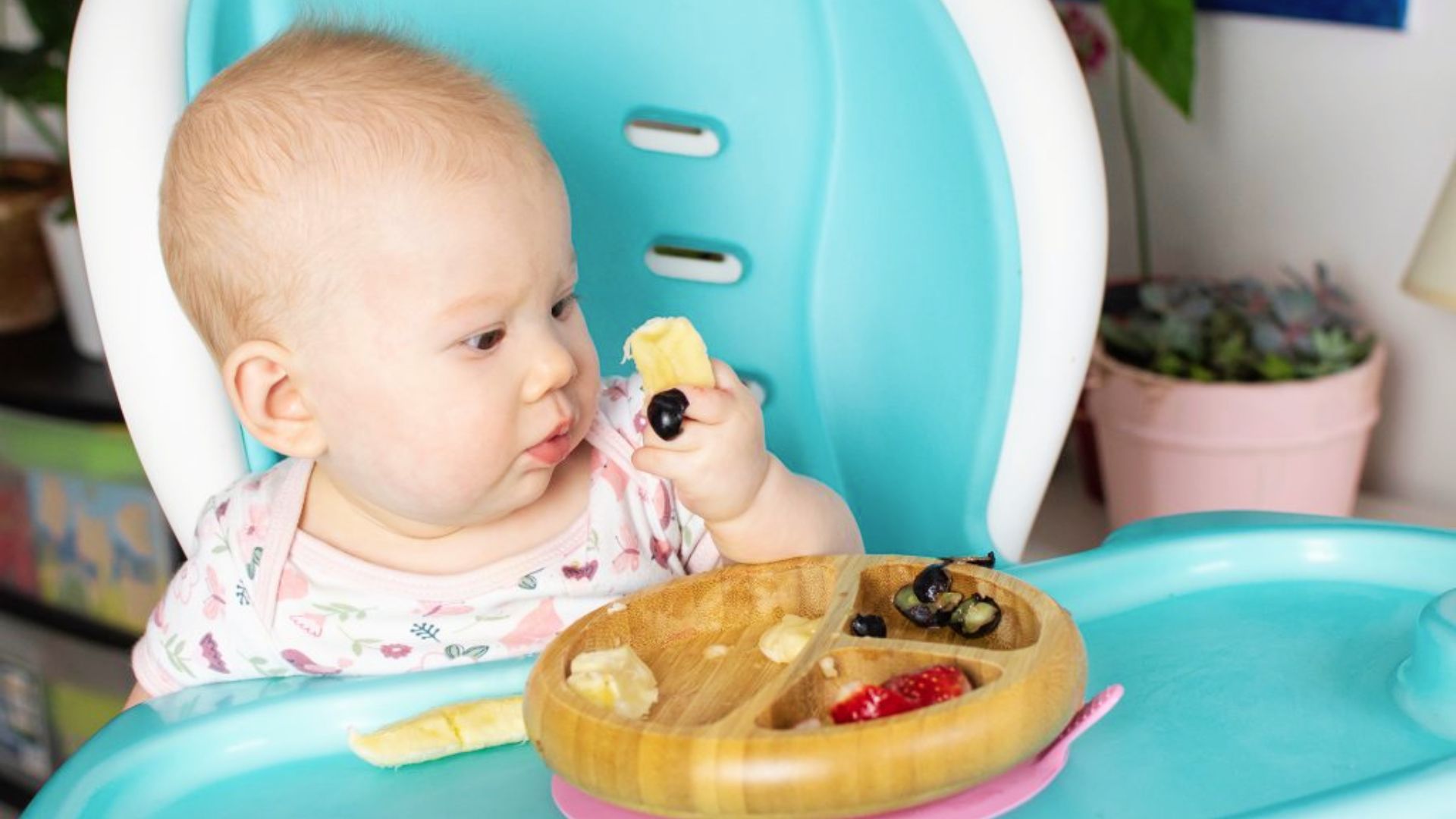 A baby seated in a high chair explores a tray of fruits and vegetables, engaging in Baby-Led Weaning (BLW) activities.