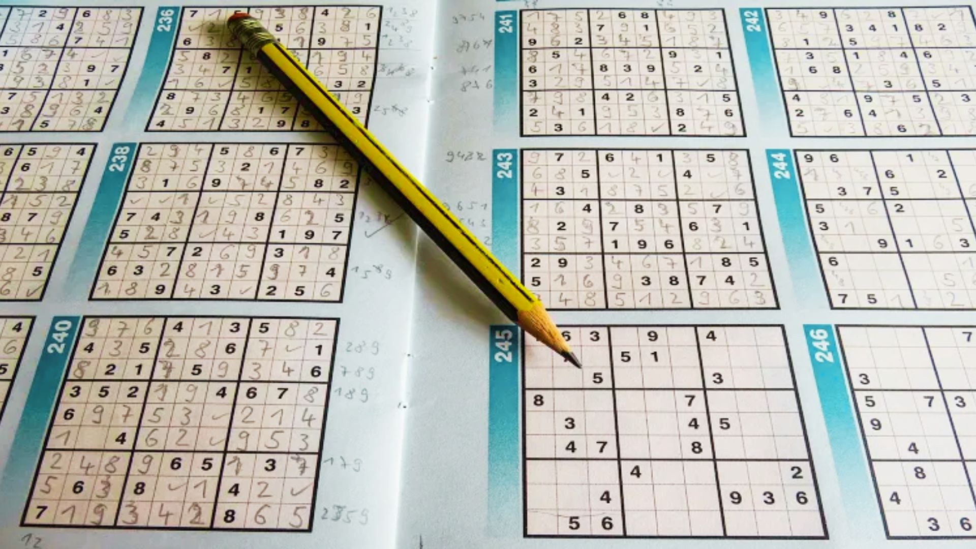 a book filled with all sudoku games in it.