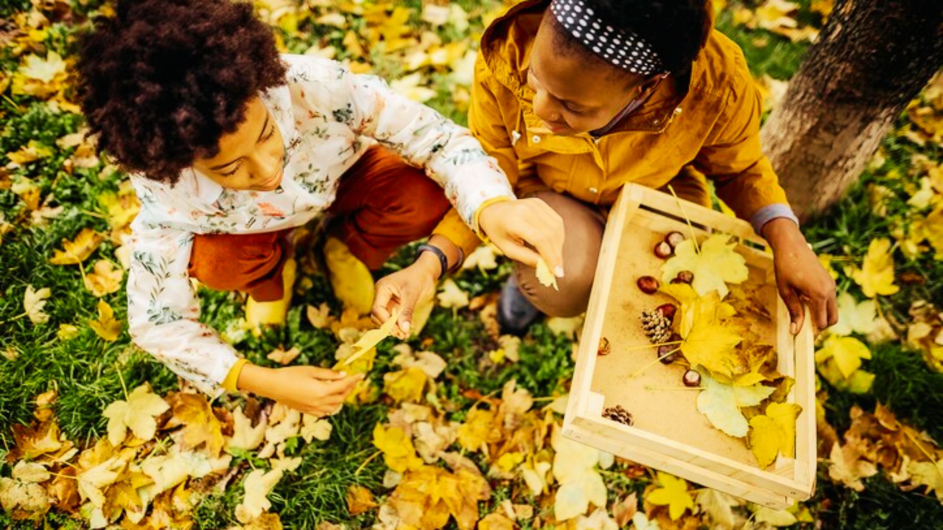Two children joyfully playing with colorful leaves during a sunny fall day.