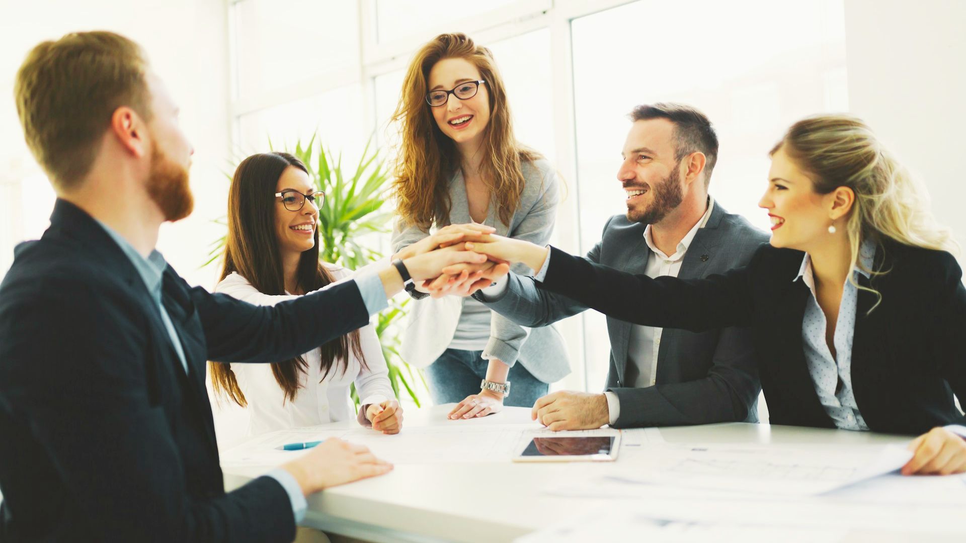 professionals shaking hands during a meeting, symbolizing agreement and collaboration in a professional setting.