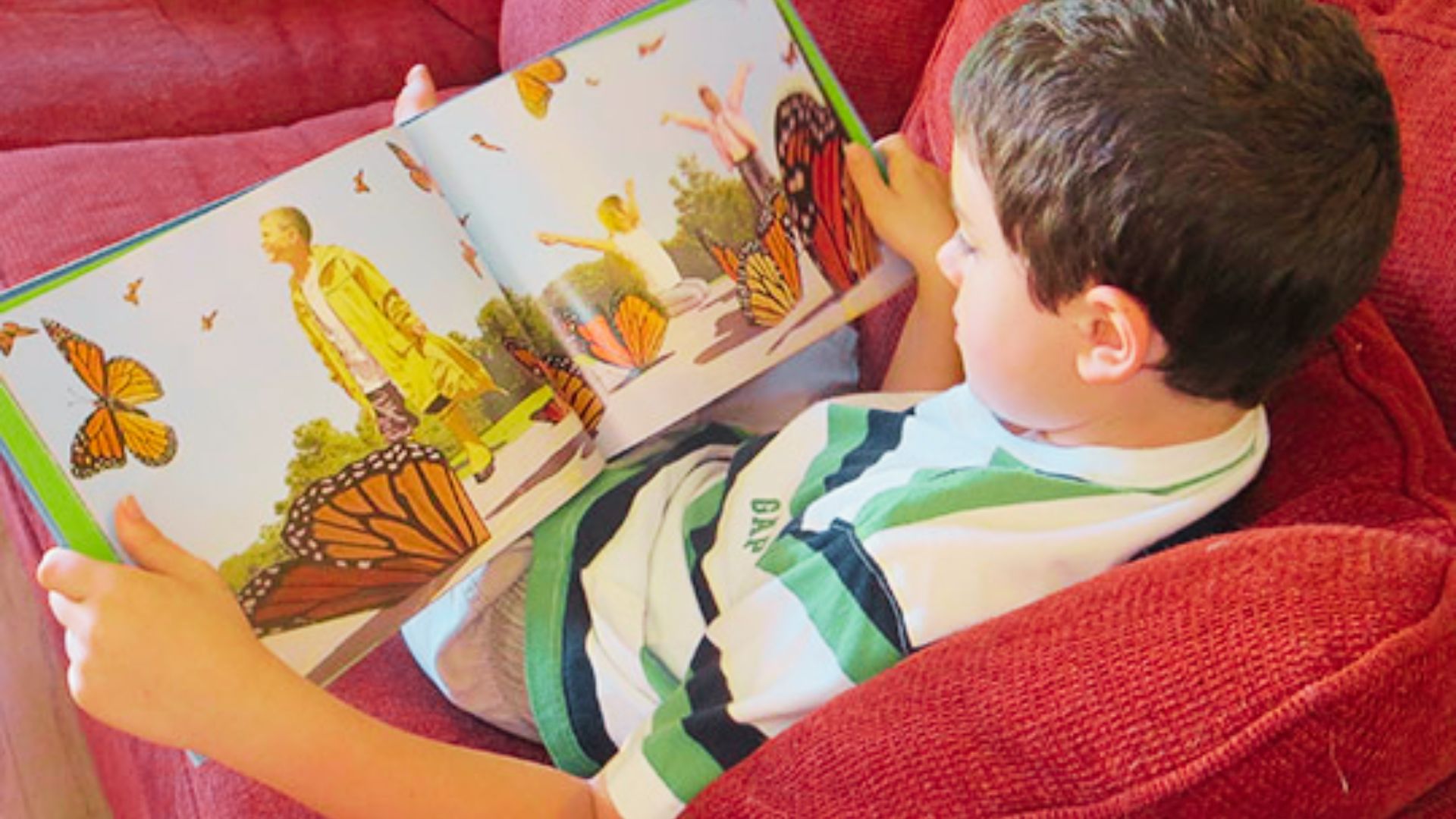 A young boy sits reading a book about butterflies, focused and engaged in learning about these colorful insects.