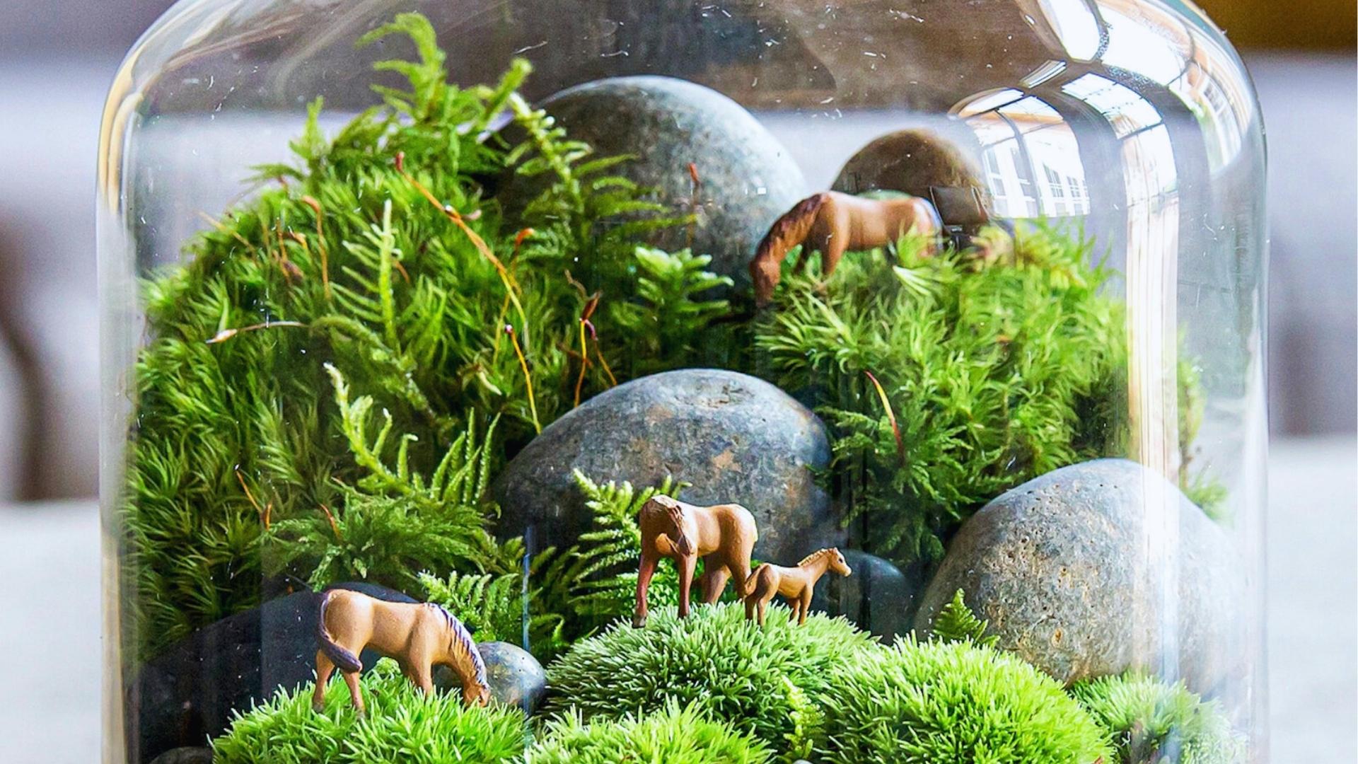 Terrarium under glass dome with moss, rocks, toy horses, miniature forest scene, crafty.