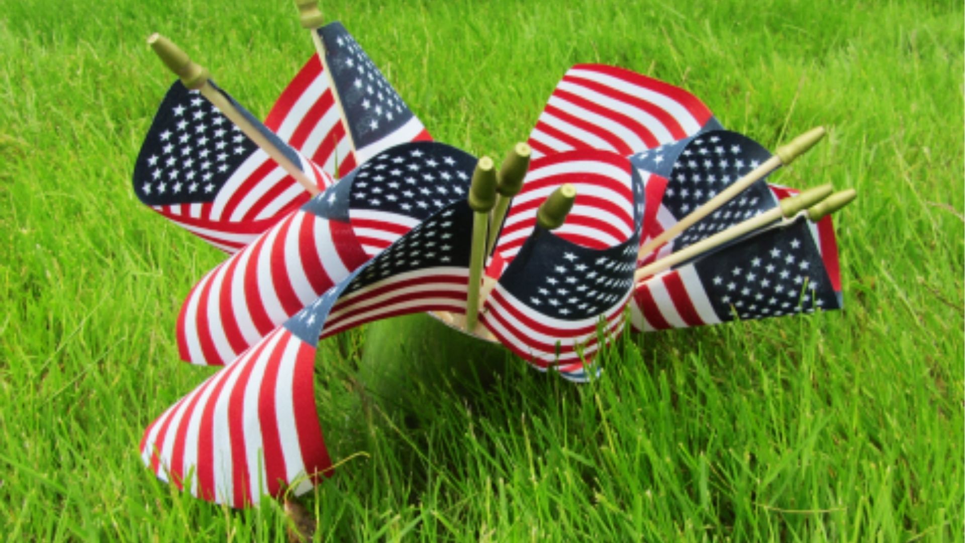 Small American flags stuck into green grass, arranged to look like a festive 4th of July bouquet.