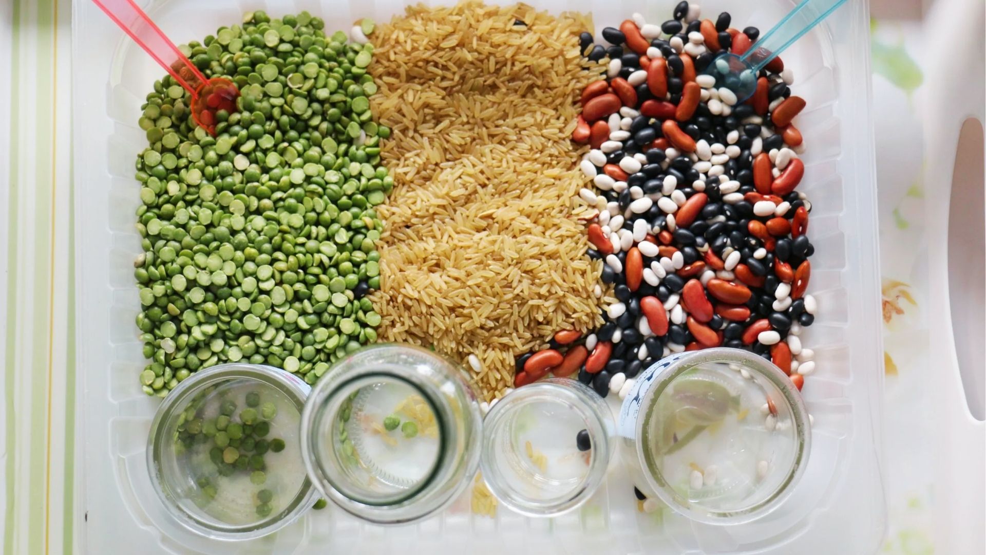 Sensory bin divided into sections of green split peas, rice, and mixed beans with scoops and jars.